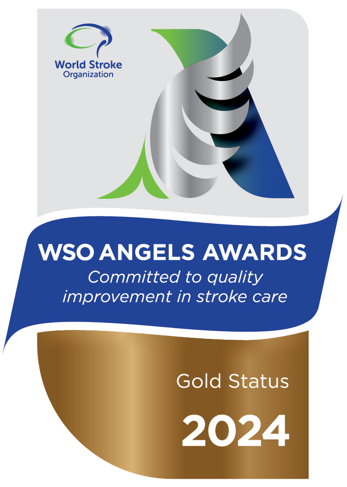 World Stroke Organisation (WSO) Angels Awards 2024 - Gold Award (Q1)