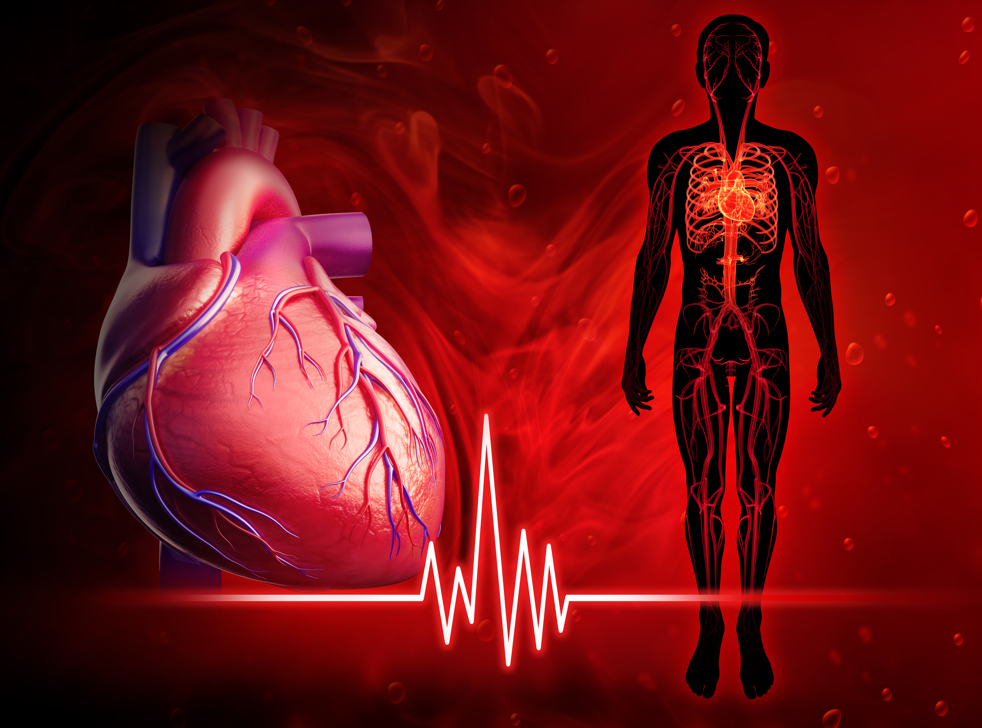 20 Interesting Facts About the Human Heart